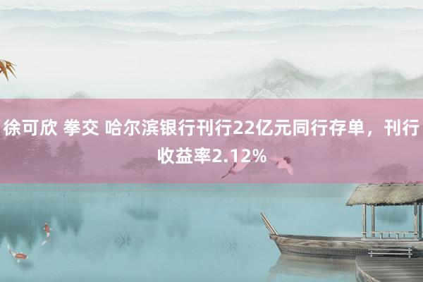 徐可欣 拳交 哈尔滨银行刊行22亿元同行存单，刊行收益率2.12%