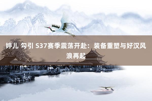婷儿 勾引 S37赛季震荡开赴：装备重塑与好汉风浪再起
