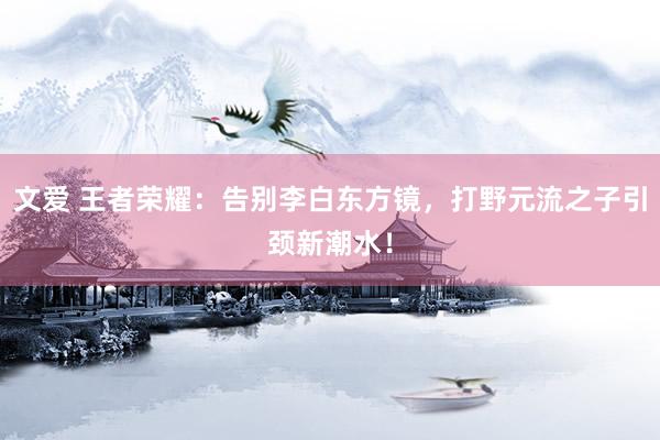 文爱 王者荣耀：告别李白东方镜，打野元流之子引颈新潮水！