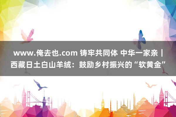 www.俺去也.com 铸牢共同体 中华一家亲｜西藏日土白山羊绒：鼓励乡村振兴的“软黄金”