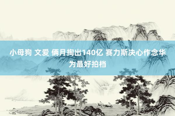 小母狗 文爱 俩月掏出140亿 赛力斯决心作念华为最好拍档