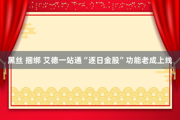 黑丝 捆绑 艾德一站通“逐日金股”功能老成上线