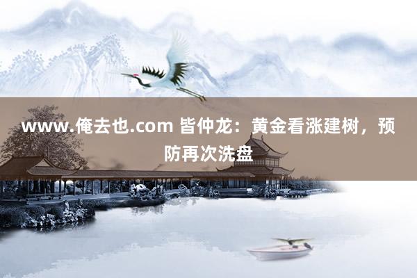 www.俺去也.com 皆仲龙：黄金看涨建树，预防再次洗盘