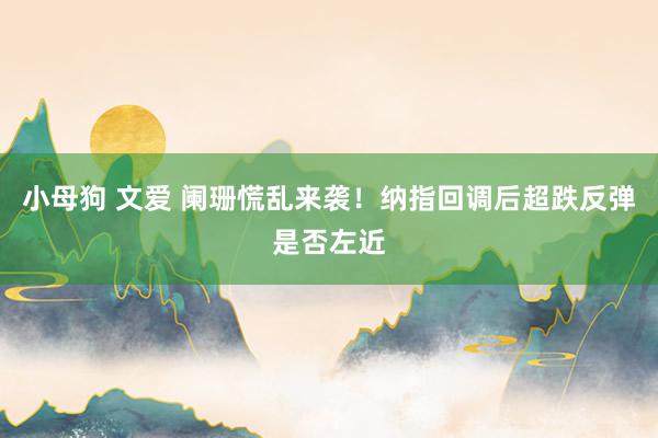 小母狗 文爱 阑珊慌乱来袭！纳指回调后超跌反弹是否左近