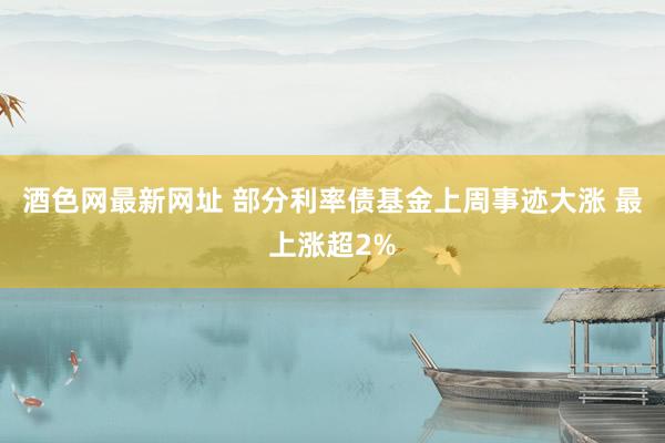 酒色网最新网址 部分利率债基金上周事迹大涨 最上涨超2%
