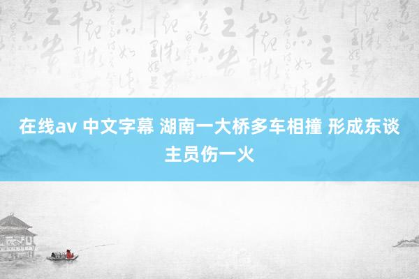 在线av 中文字幕 湖南一大桥多车相撞 形成东谈主员伤一火