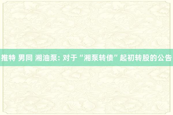 推特 男同 湘油泵: 对于“湘泵转债”起初转股的公告