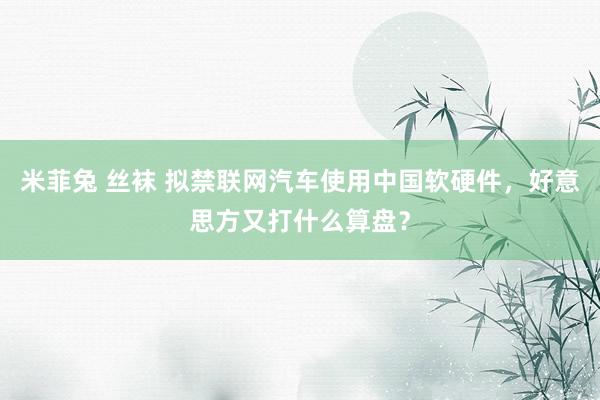米菲兔 丝袜 拟禁联网汽车使用中国软硬件，好意思方又打什么算盘？