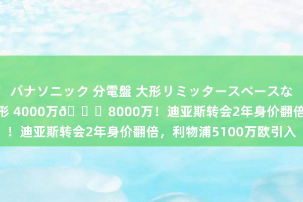 パナソニック 分電盤 大形リミッタースペースなし 露出・半埋込両用形 4000万🚀8000万！迪亚斯转会2年身价翻倍，利物浦5100万欧引入