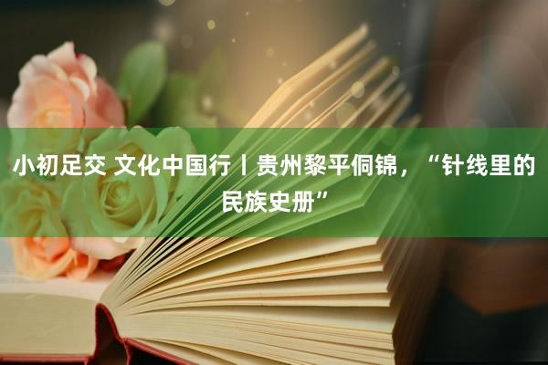 小初足交 文化中国行丨贵州黎平侗锦，“针线里的民族史册”
