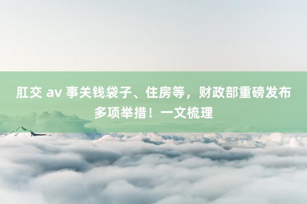 肛交 av 事关钱袋子、住房等，财政部重磅发布多项举措！一文梳理