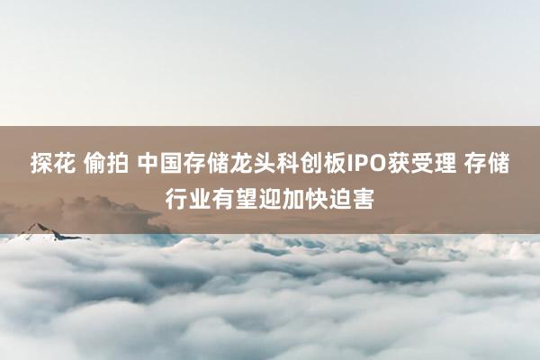探花 偷拍 中国存储龙头科创板IPO获受理 存储行业有望迎加快迫害