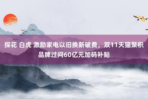 探花 白虎 激励家电以旧换新破费，双11天猫聚积品牌过问60亿元加码补贴