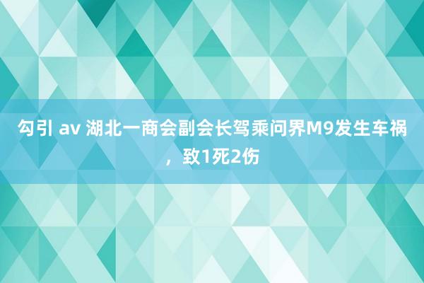 勾引 av 湖北一商会副会长驾乘问界M9发生车祸，致1死2伤