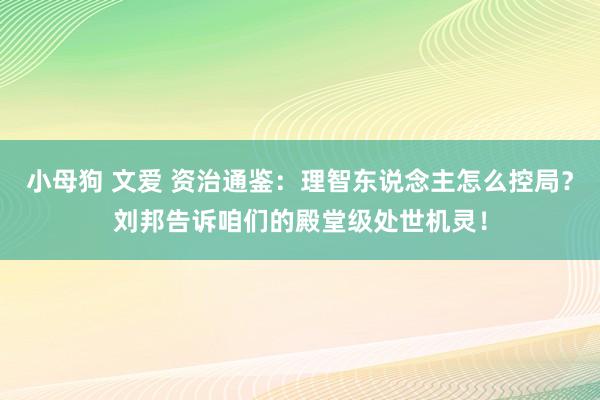 小母狗 文爱 资治通鉴：理智东说念主怎么控局？刘邦告诉咱们的殿堂级处世机灵！