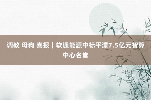 调教 母狗 喜报｜软通能源中标平潭7.5亿元智算中心名堂