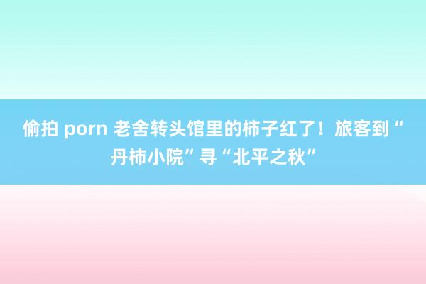 偷拍 porn 老舍转头馆里的柿子红了！旅客到“丹柿小院”寻“北平之秋”