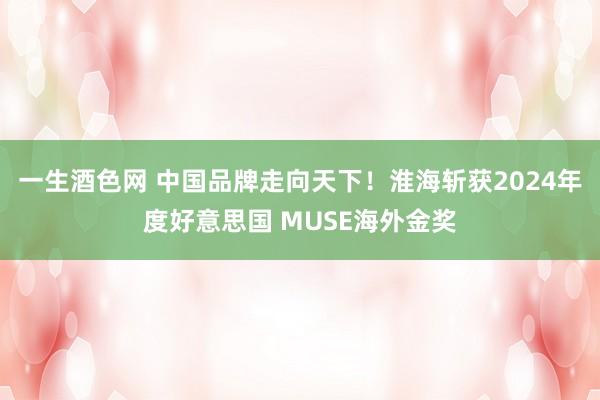 一生酒色网 中国品牌走向天下！淮海斩获2024年度好意思国 MUSE海外金奖