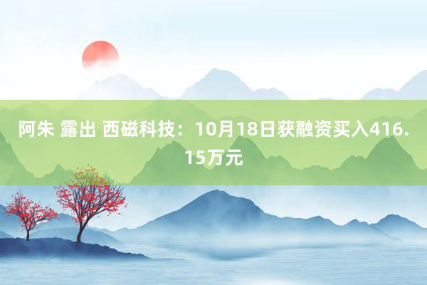 阿朱 露出 西磁科技：10月18日获融资买入416.15万元
