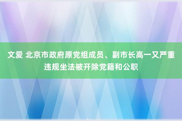 文爱 北京市政府原党组成员、副市长高一又严重违规坐法被开除党籍和公职