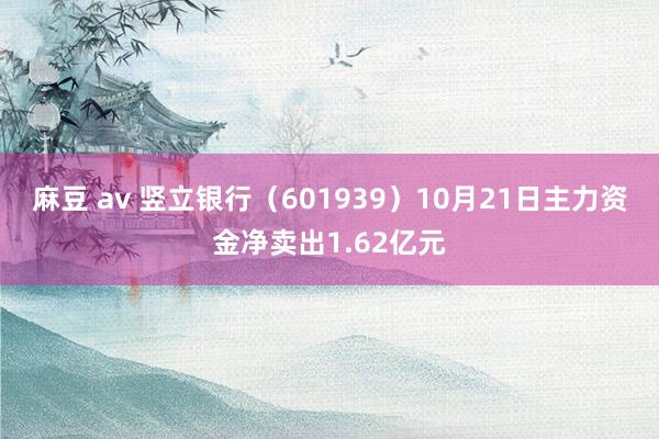 麻豆 av 竖立银行（601939）10月21日主力资金净卖出1.62亿元