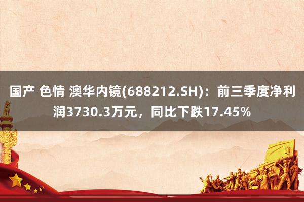 国产 色情 澳华内镜(688212.SH)：前三季度净利润3730.3万元，同比下跌17.45%