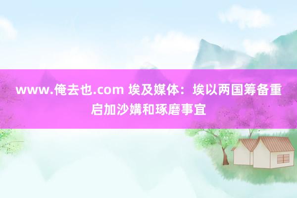 www.俺去也.com 埃及媒体：埃以两国筹备重启加沙媾和琢磨事宜