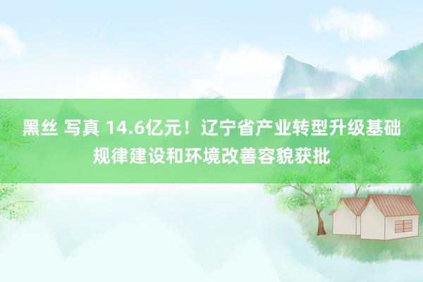 黑丝 写真 14.6亿元！辽宁省产业转型升级基础规律建设和环境改善容貌获批