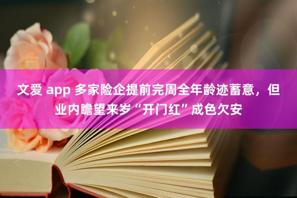 文爱 app 多家险企提前完周全年龄迹蓄意，但业内瞻望来岁“开门红”成色欠安