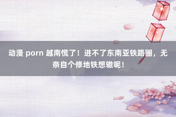 动漫 porn 越南慌了！进不了东南亚铁路圈，无奈自个修地铁想辙呢！