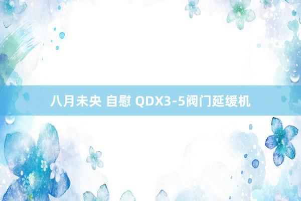 八月未央 自慰 QDX3-5阀门延缓机