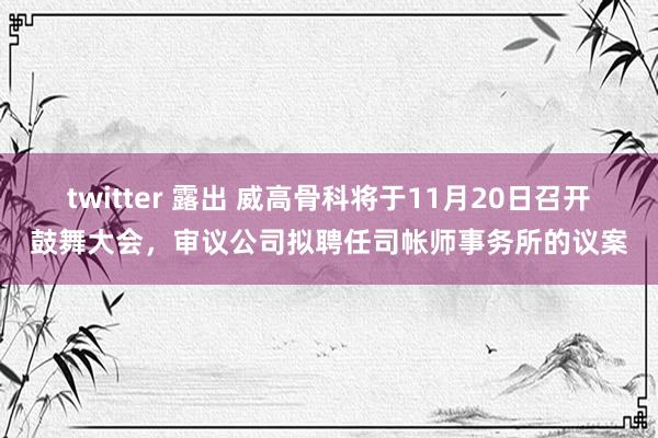twitter 露出 威高骨科将于11月20日召开鼓舞大会，审议公司拟聘任司帐师事务所的议案