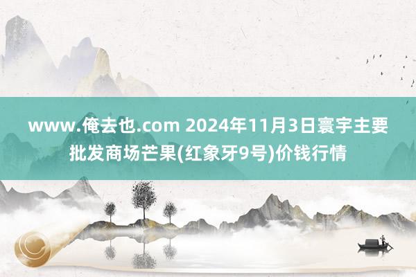 www.俺去也.com 2024年11月3日寰宇主要批发商场芒果(红象牙9号)价钱行情