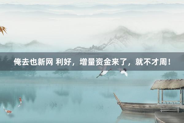 俺去也新网 利好，增量资金来了，就不才周！