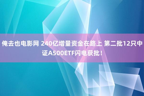 俺去也电影网 240亿增量资金在路上 第二批12只中证A500ETF闪电获批！