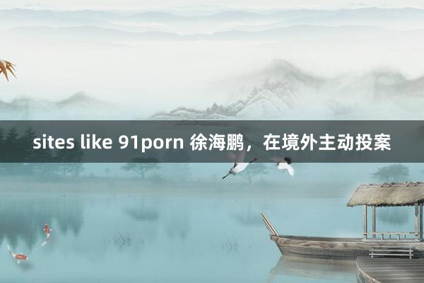 sites like 91porn 徐海鹏，在境外主动投案