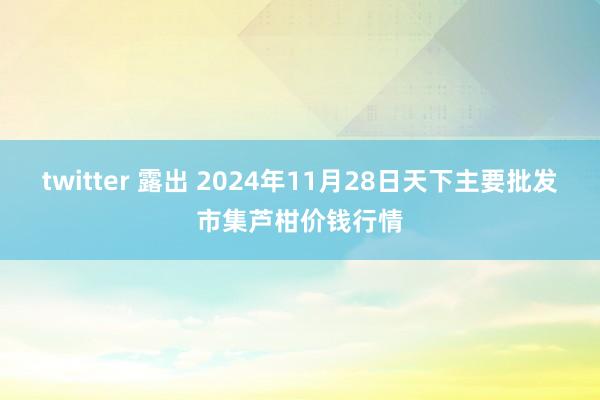 twitter 露出 2024年11月28日天下主要批发市集芦柑价钱行情
