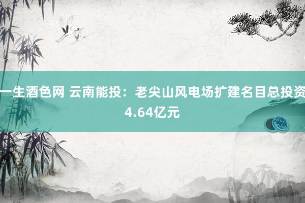 一生酒色网 云南能投：老尖山风电场扩建名目总投资4.64亿元
