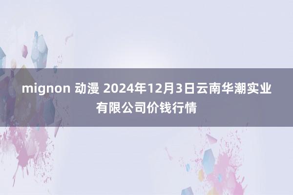 mignon 动漫 2024年12月3日云南华潮实业有限公司价钱行情