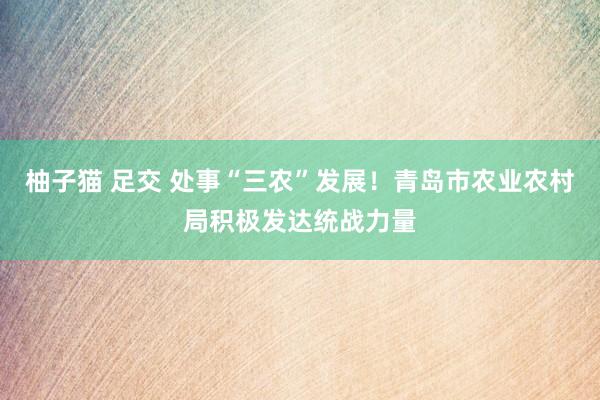 柚子猫 足交 处事“三农”发展！青岛市农业农村局积极发达统战力量