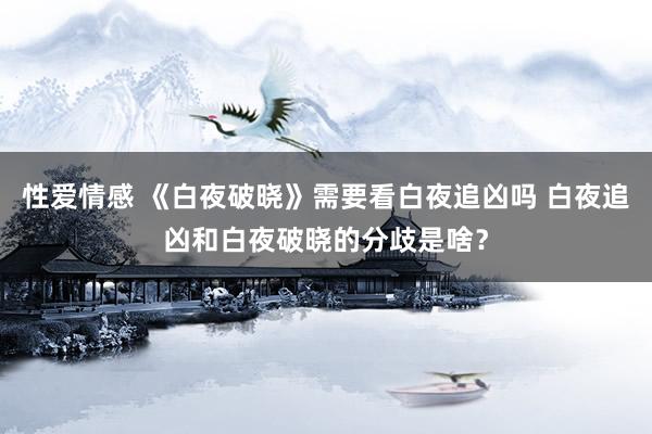 性爱情感 《白夜破晓》需要看白夜追凶吗 白夜追凶和白夜破晓的分歧是啥？