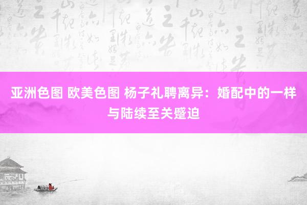亚洲色图 欧美色图 杨子礼聘离异：婚配中的一样与陆续至关蹙迫