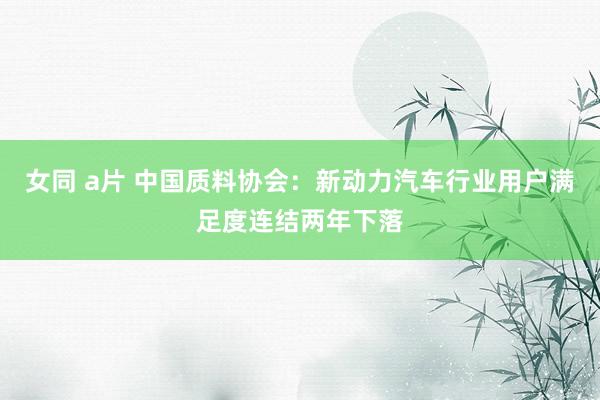 女同 a片 中国质料协会：新动力汽车行业用户满足度连结两年下落