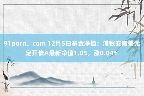 91porn。com 12月5日基金净值：浦银安盛盛元定开债A最新净值1.05，涨0.04%