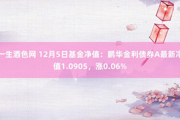 一生酒色网 12月5日基金净值：鹏华金利债券A最新净值1.0905，涨0.06%