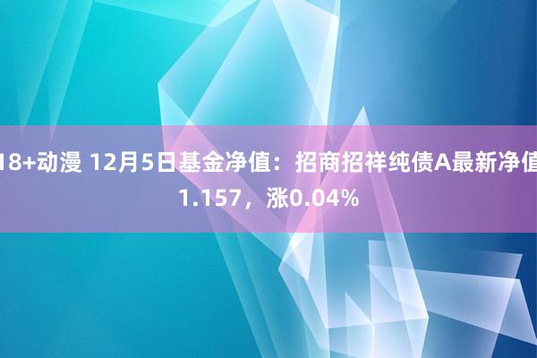 18+动漫 12月5日基金净值：招商招祥纯债A最新净值1.157，涨0.04%