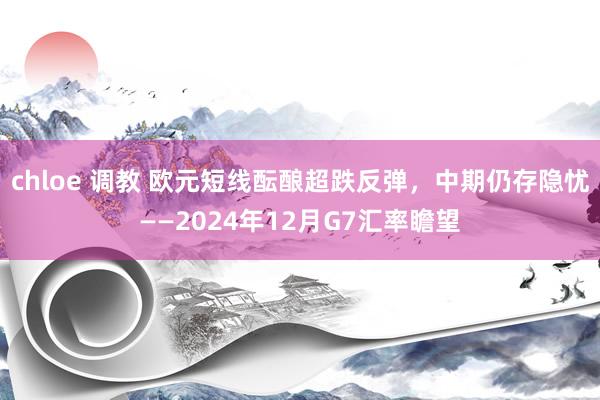 chloe 调教 欧元短线酝酿超跌反弹，中期仍存隐忧——2024年12月G7汇率瞻望