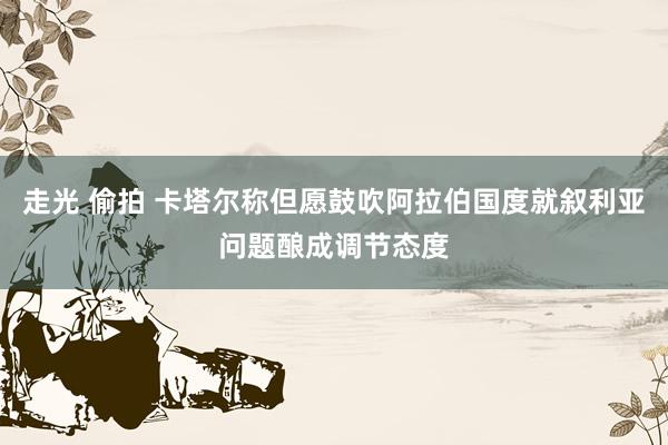 走光 偷拍 卡塔尔称但愿鼓吹阿拉伯国度就叙利亚问题酿成调节态度