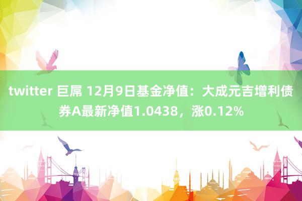 twitter 巨屌 12月9日基金净值：大成元吉增利债券A最新净值1.0438，涨0.12%