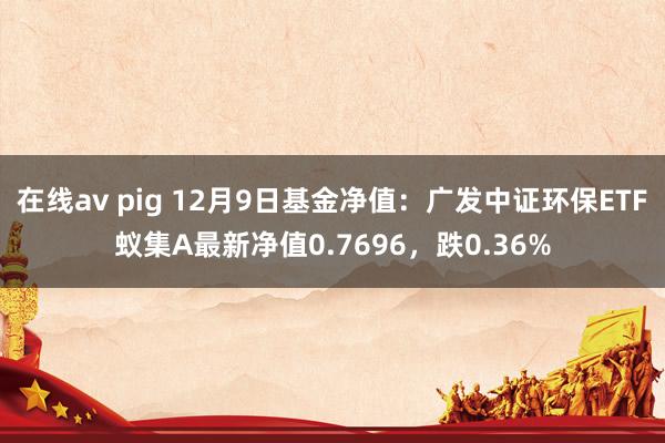 在线av pig 12月9日基金净值：广发中证环保ETF蚁集A最新净值0.7696，跌0.36%